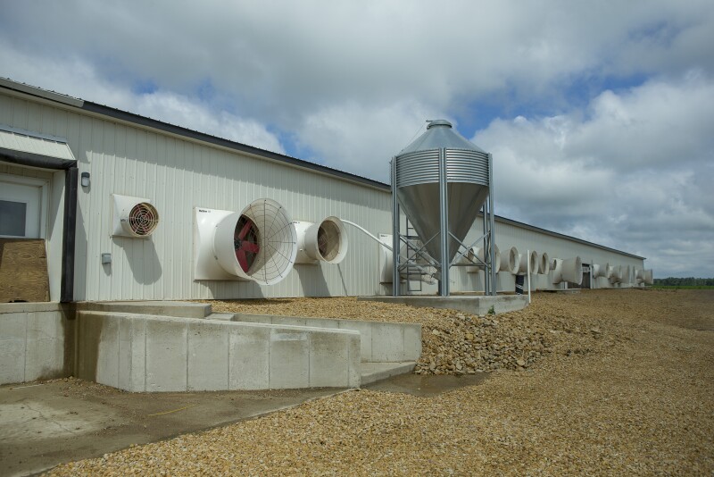 Outside a sow barn