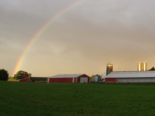 Rainbow