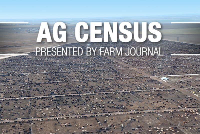 U.S. feedlots with more than 500 cattle on feed increased in numbers 12% during the five year period between 2012 and 2017, according to the 2017 Census of Agriculture. 