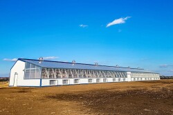 202403-chs-greenhouse_1 WEB.jpg