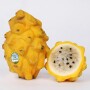 Pitahaya fruit. Photo courtesy dVida Company