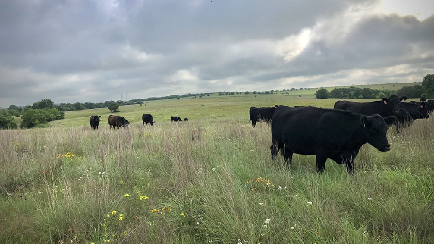 Gic Ranch G Bar C Ranch Takes Texas Ranchers Behind the Farm Gate - Drovers