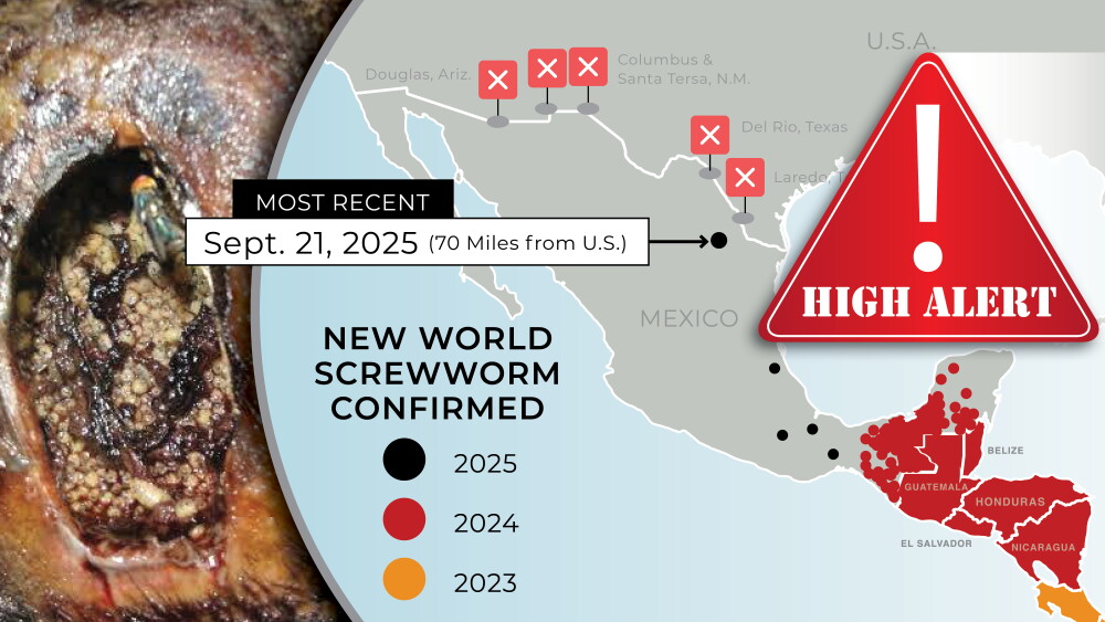 Worm Alert Yield Grading Outdated: Time to Modernize