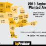 Soybean acres for 2019 are estimated at 80 million acres, which is down 10% (and 9.2 million acres) from 2018. This represents the lowest soybean planted acreage in the U.S. since 2013. 