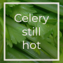 6E1F73EB-961D-48F2-BB032EEFC57AA18A.png