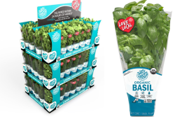 That's Tasty retail display.png
