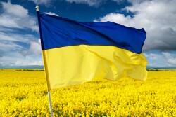 Ukraine Ag Flag_AdobeStock