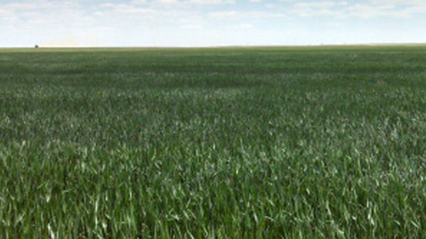Northern Plains, Minnesota Farmland Values Ease