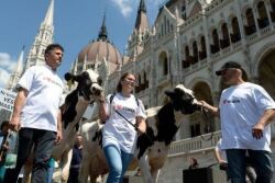 Hungary