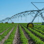 Walmart and PepsiCo collaborate on regenerative ag