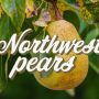 Northwest pears