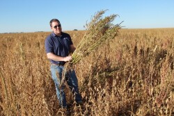 Frenchman Valley Coop's Ben Sauder, VP of Agronomy is shown above standing in a soybean field infested with Palmer amaranth. “We’re going to have to really work hard in the next several years to get these weeds back under control because we’ve lost 20 years of weed control in just this one past year,” he says.