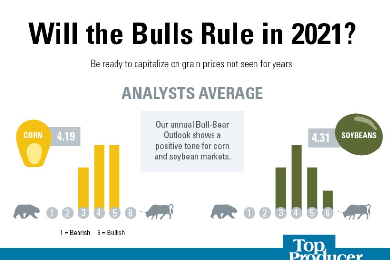 2021 Bull-Bear Outlook