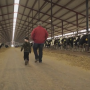 South_Lakes_Dairy_(barn)