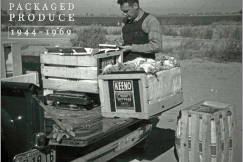 Vacuum cooling pulled heat and water from fruits and vegetables immediately after harvest, eliminating the need for ice. Wooden crates that had once been used to support all the ice weren’t necessary, and fiberboard containers emerged.