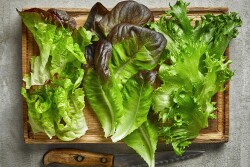 Lettuce leaves on a cutting board