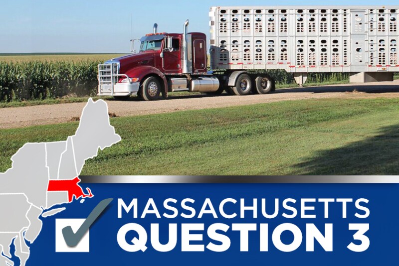 Massachusetts Question 3