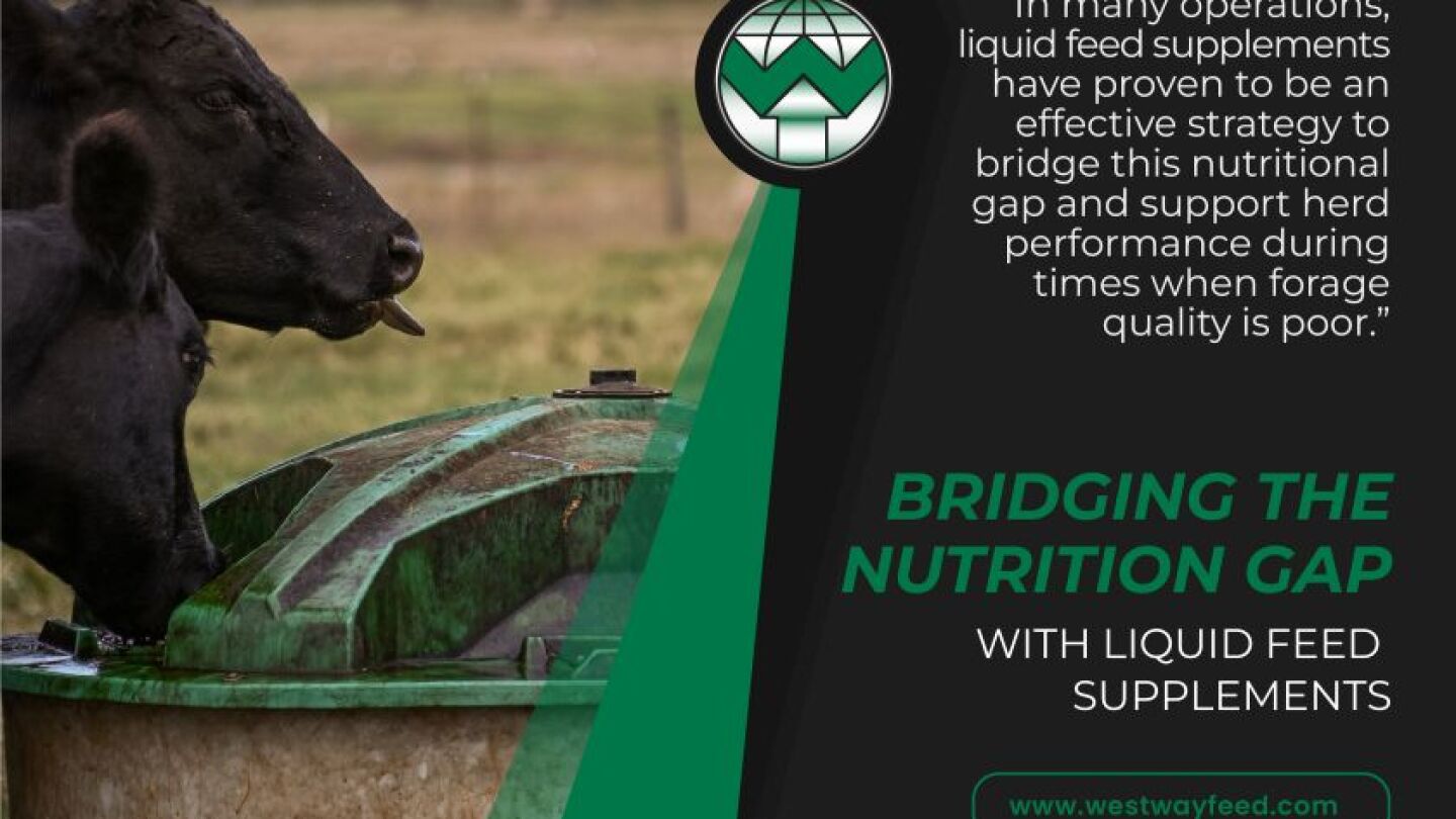 Bridging the Nutrition Gap: Practical Implementation