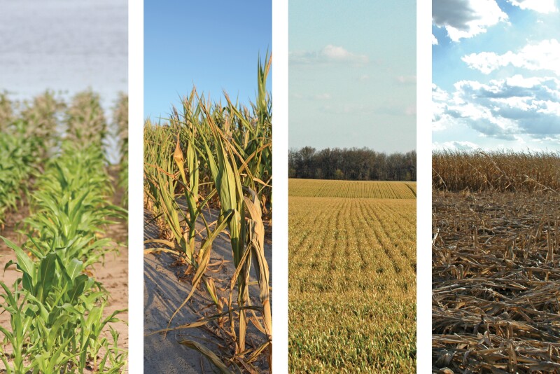 Recent adjustments to crop insurance could make decisions this year even more difficult. John Phipps explains in Customer Support.