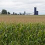 Land pros cite dramatic increase in farmlands values across Illinois