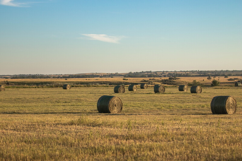 Protecting Hay Quality in Unpredictable Weather - Drovers