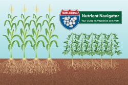 Nutrient Navigator Series