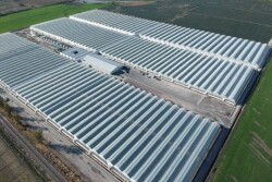 jalisco greenhouse