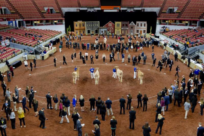 Hundreds of high school and college students compete in judging contests at World Dairy Expo each year. 