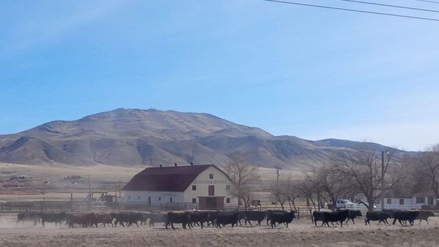 Nevada State Ranch Nevada Ranch Honored for Stewardship Efforts - The Packer