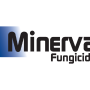 Minerva_Logo-01.png