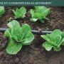 Drip irrigation has become popular throughout the U.S. and can help growers significantly increase yields using the same amount of water as with surface irrigation, experts say.
