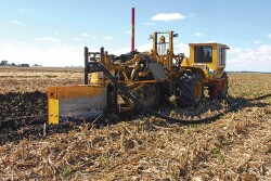 Drainage is an important part of soil health because it manages the seasonal high water table—letting oxygen enter the soil for plant roots and soil microbes. But it often takes more than drainage to restore unhealthy soil.