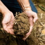 Soil Secutiry.jpg