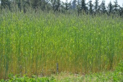CRP rates changed in many counties this past year.