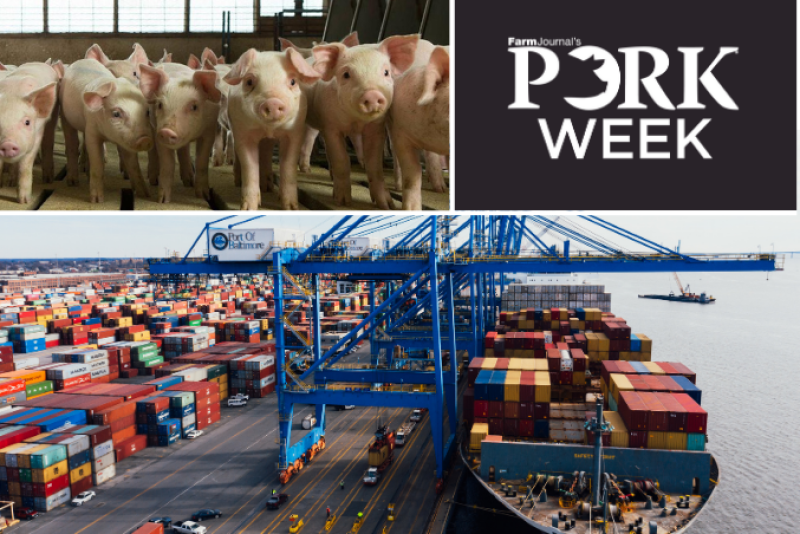 Pork Week - Exports