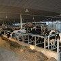 Dairy