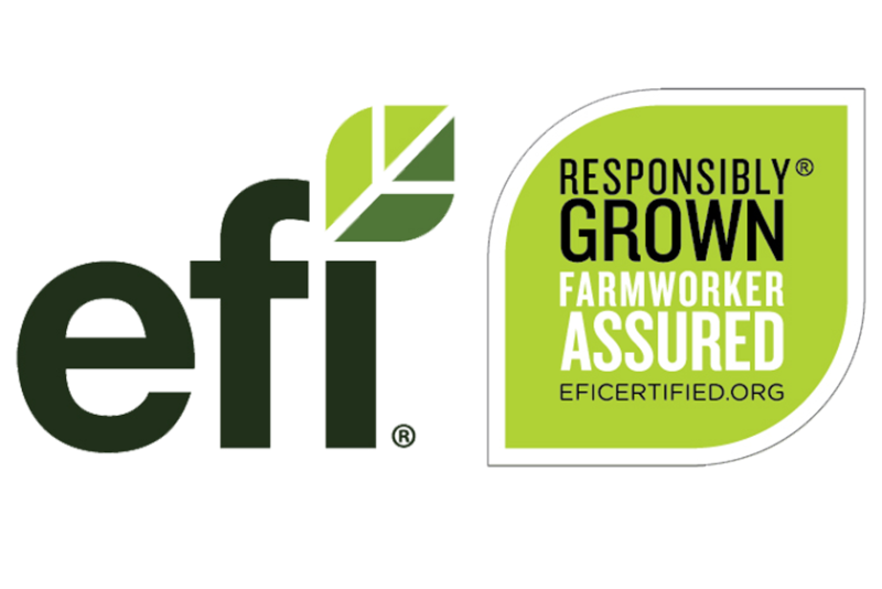 EFI