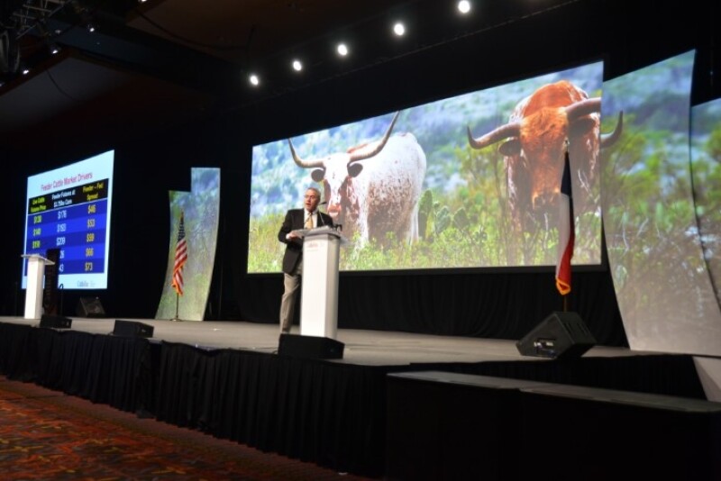BT_CattleFax_Outlook