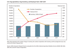 U.S. Hog Operations, 1997-2007