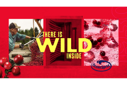 Ocean Spray Cranberries new branding