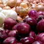 New Mexico is a significant U.S. supplier of onions in June and July.