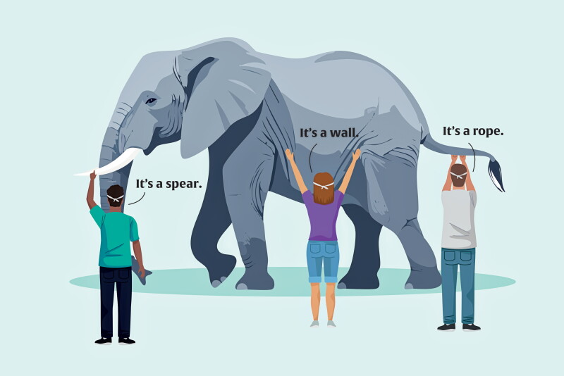 Questioning Elephant Seeing the Whole Elephant: Systems Thinking and Animal Health - Dairy Herd