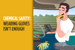 Chemical Safety