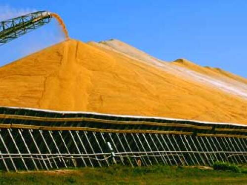Grain-Pile.jpg