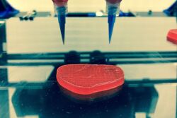 Novameat's 3D printing machine.