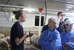 Follow the proper biosecurity measures for any visitor on your farm—whether neighbors or international visitors.