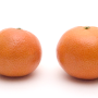 citrus-1.png