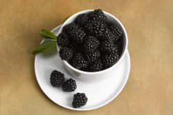 karoline blackberries