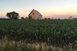 farm
