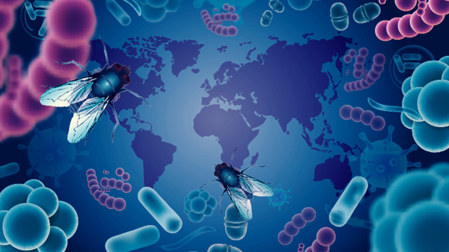 What Global Disease Threats Mean for Your Swine Operation